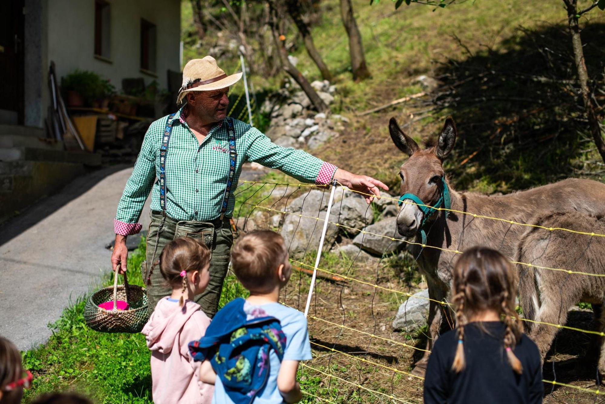 Turisticna Kmetija Grabnar Villa Блед Екстериор снимка