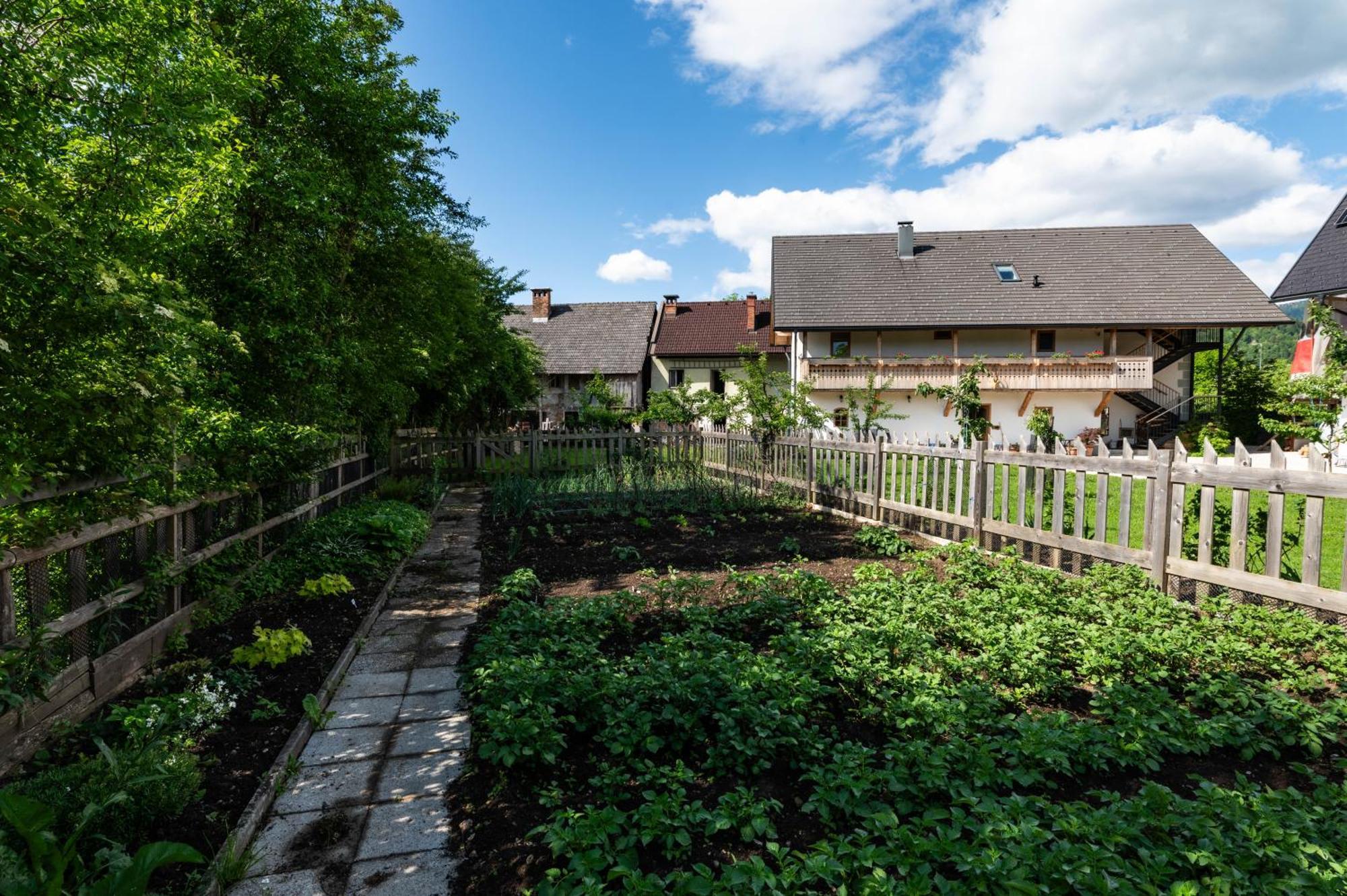 Turisticna Kmetija Grabnar Villa Блед Екстериор снимка
